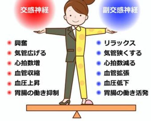 自律神経