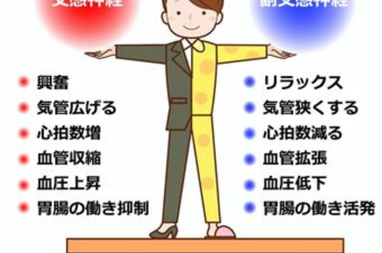 自律神経